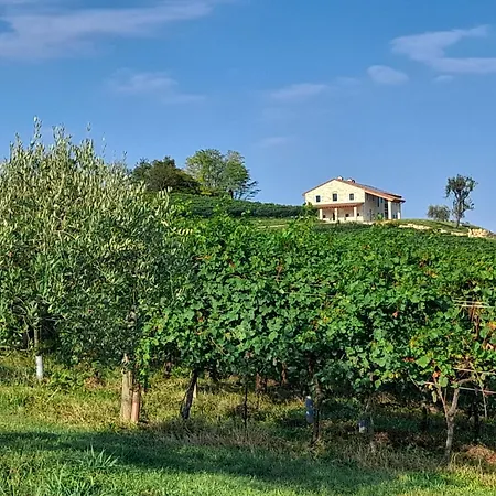 Agriturismo Riva Beata Cavaso Del Tomba Exterior photo